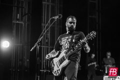 1782 @ Westill (Le Champilambart  · Vallet) - 01 novembre 2024
