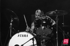 1782 @ Westill (Le Champilambart  · Vallet) - 01 novembre 2024