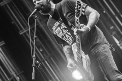 1782 @ Westill (Le Champilambart  · Vallet) - 01 novembre 2024