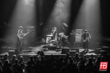 Birds in row @ Stereolux (Nantes) - 11 octobre 2022