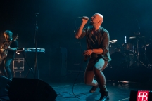 Deadly Vipers @ Westill (Le Champilambart  · Vallet) - 17 novembre 2023