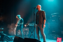 Deadly Vipers @ Westill (Le Champilambart  · Vallet) - 17 novembre 2023