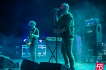 Deadly Vipers @ Westill (Le Champilambart  · Vallet) - 17 novembre 2023