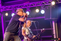 Descendents - Hellfest 2019