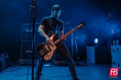 DOZER @ Westill (Le Champilambart  · Vallet) - 01 novembre 2024