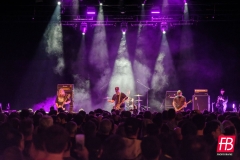 DOZER @ Westill (Le Champilambart  · Vallet) - 01 novembre 2024