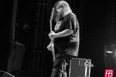 DOZER @ Westill (Le Champilambart  · Vallet) - 01 novembre 2024