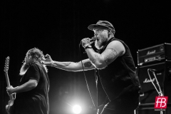 GREENLEAF @ Westill (Le Champilambart  · Vallet) - 01 novembre 2024