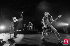 GREENLEAF @ Westill (Le Champilambart  · Vallet) - 01 novembre 2024