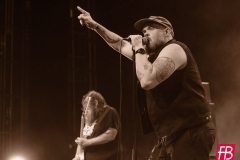 GREENLEAF @ Westill (Le Champilambart  · Vallet) - 01 novembre 2024