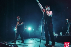 GREENLEAF @ Westill (Le Champilambart  · Vallet) - 01 novembre 2024