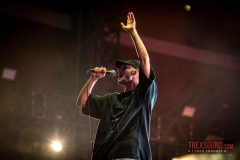 Landmvrks-Hellfest-2024-07