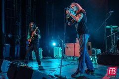 NIGHTSTALKER @ Westill (Le Champilambart  · Vallet) - 01 novembre 2024