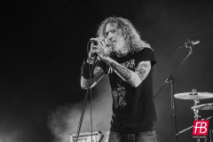 NIGHTSTALKER @ Westill (Le Champilambart  · Vallet) - 01 novembre 2024