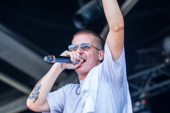 Pain-Of-Truth-Hellfest-2025-13