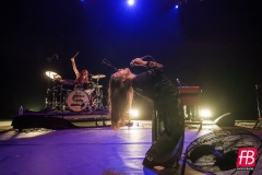 SIENA ROOT @ Westill (Le Champilambart  · Vallet) - 02 novembre 2024