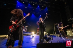 SIENA ROOT @ Westill (Le Champilambart  · Vallet) - 02 novembre 2024