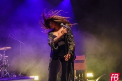 SIENA ROOT @ Westill (Le Champilambart  · Vallet) - 02 novembre 2024