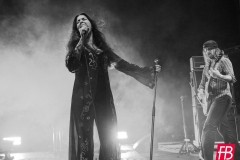 SIENA ROOT @ Westill (Le Champilambart  · Vallet) - 02 novembre 2024