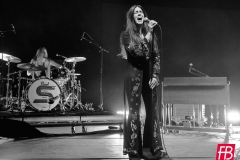 SIENA ROOT @ Westill (Le Champilambart  · Vallet) - 02 novembre 2024