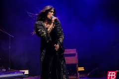 SIENA ROOT @ Westill (Le Champilambart  · Vallet) - 02 novembre 2024