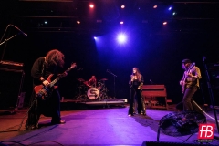 SIENA ROOT @ Westill (Le Champilambart  · Vallet) - 02 novembre 2024