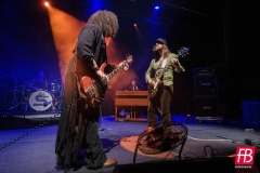 SIENA ROOT @ Westill (Le Champilambart  · Vallet) - 02 novembre 2024