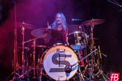 SIENA ROOT @ Westill (Le Champilambart  · Vallet) - 02 novembre 2024
