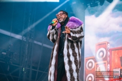 Skindred-Hellfest-2025-01
