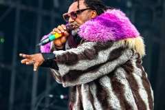 Skindred-Hellfest-2025-02