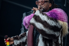 Skindred-Hellfest-2025-09