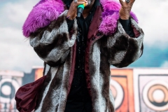 Skindred-Hellfest-2025-10