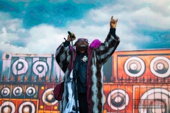 Skindred-Hellfest-2025-11