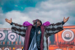 Skindred-Hellfest-2025-13