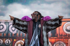 Skindred-Hellfest-2025-14