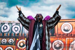 Skindred-Hellfest-2025-15