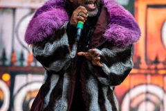 Skindred-Hellfest-2025-17