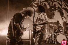 SLOMOSA @ Westill (Le Champilambart  · Vallet) - 02 novembre 2024