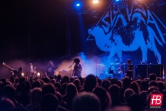 SLOMOSA @ Westill (Le Champilambart  · Vallet) - 02 novembre 2024