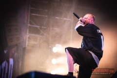 The-Haunted-WVH-Hellfest-2024-09
