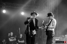 The Libertines @ Motocultor (Saint Nolff) - 18 aout 2022