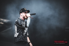 We-Came-As-Romans-Hellfest-2026-6