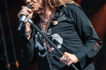 Whitesnake-2