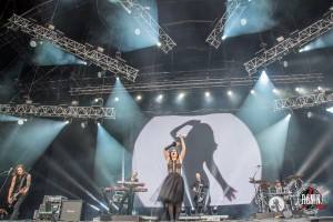 Tarja-2541