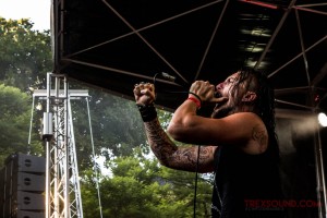 Dagoba-RNR-Train-Festival-9-juil-2016-11