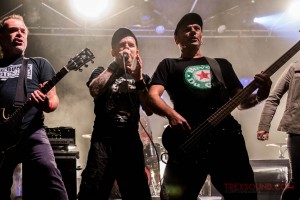 Le-Bal-des-Enrages-RNR-Train-Festival-9-juil-2016-15
