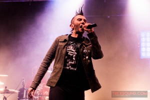 Le-Bal-des-Enrages-RNR-Train-Festival-9-juil-2016-4